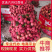 大量果园荔枝六月红禾荔桂味鸡嘴荔枝欢迎来合作