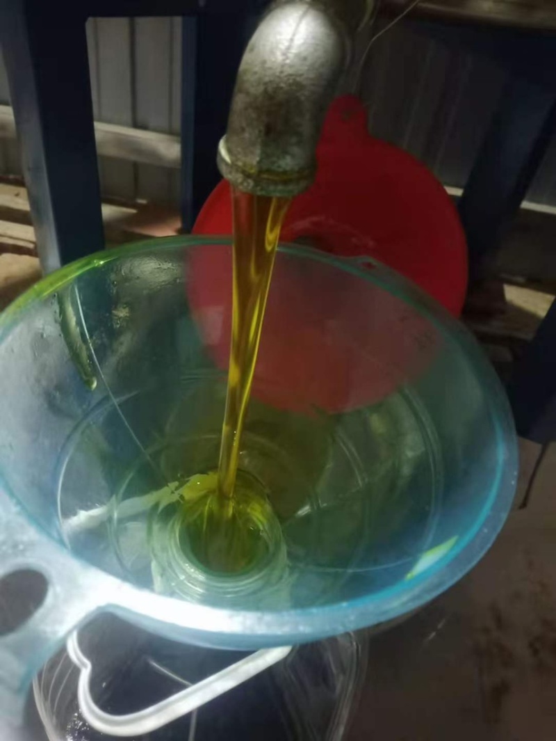 油菜籽厂家大量批发油菜籽菜籽新油菜籽出油37