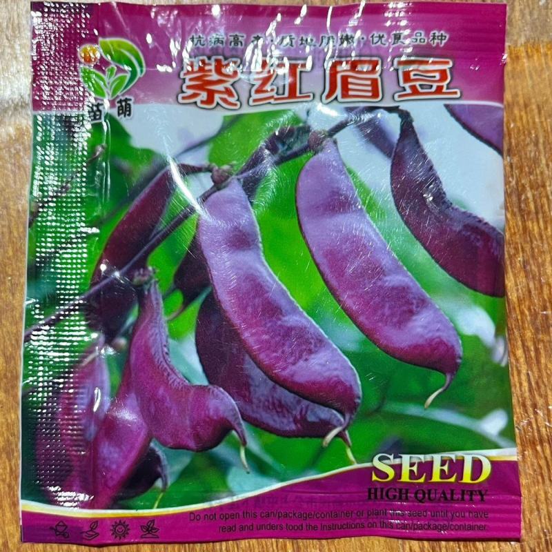 扁豆种子