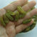 【产地直发】大粒特级绿香妃葡萄干新疆特产吐鲁番青提子