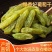 正宗新疆特产吐鲁番绿香妃葡萄干绿宝石大颗粒香妃零食批发