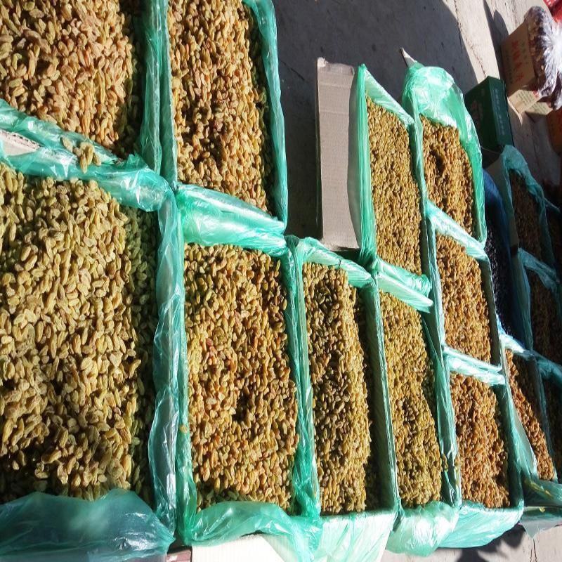 5斤批发价葡萄干新疆特产散装整箱吐鲁番无核树上黄商用香