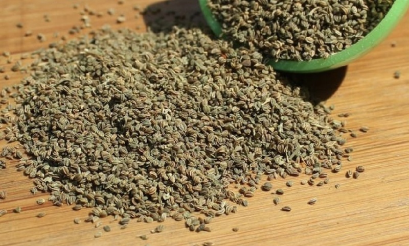 芹菜籽国产芹菜籽芹菜籽厂家大量批发