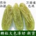 特级大粒绿葡萄干500g新疆特产吐鲁番免洗提子干果