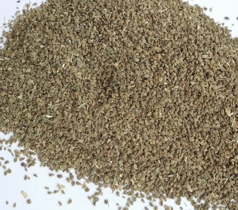 芹菜籽厂家批发芹菜籽新芹菜籽国产高品质芹菜籽