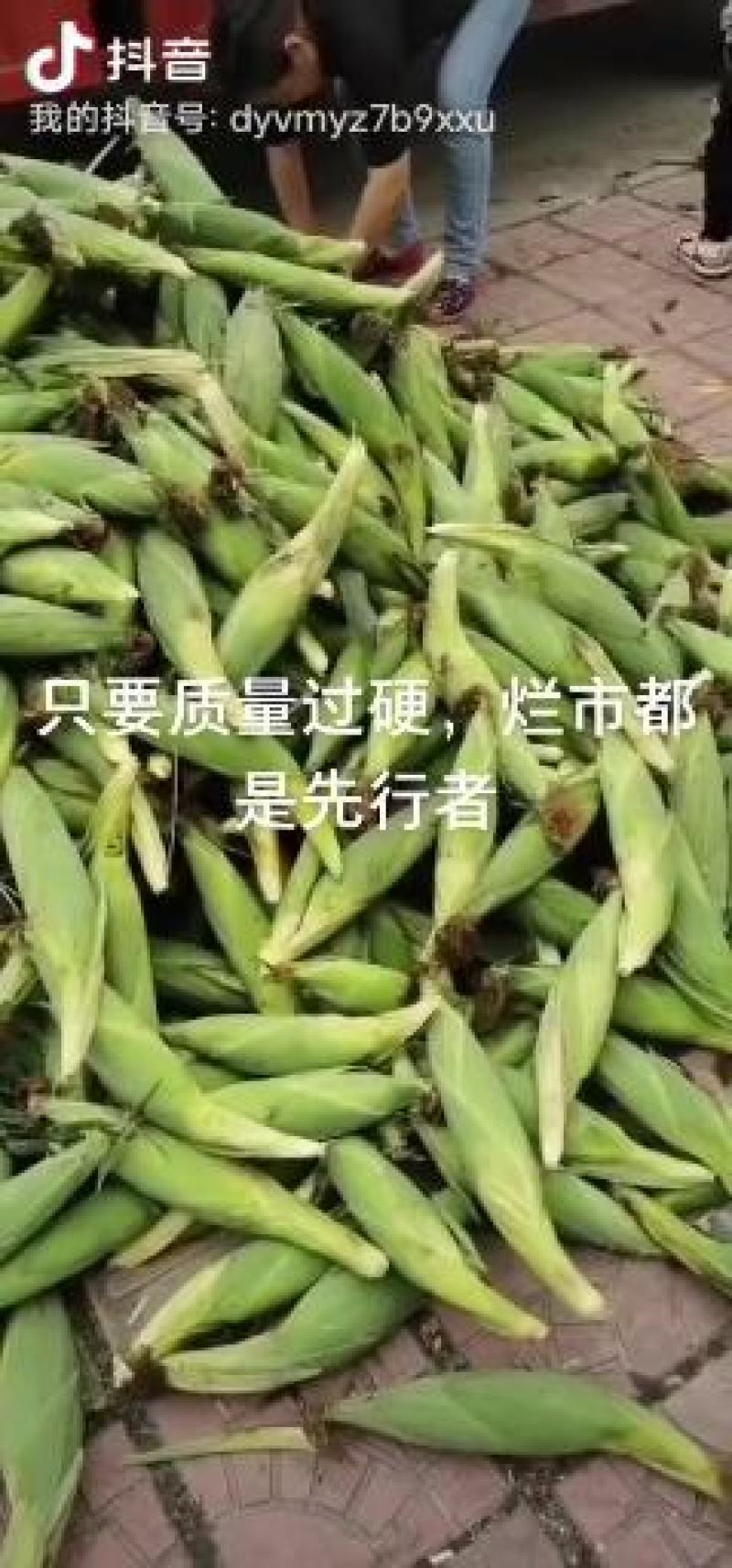 甜玉米