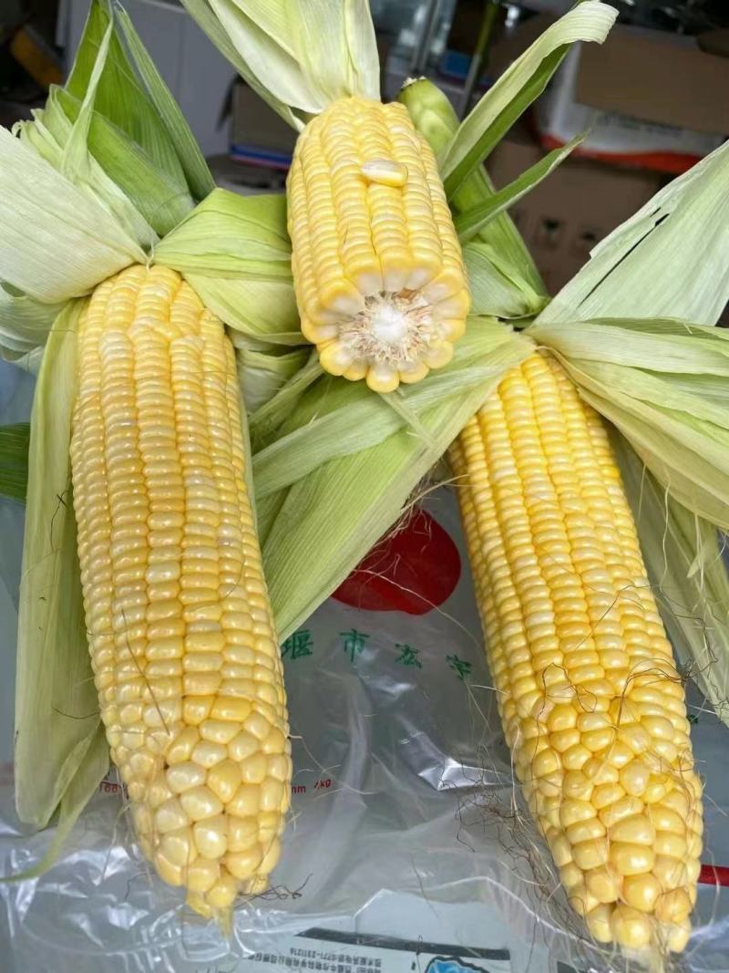 甜玉米