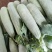 【荐】精品甜瓜，羊角蜜甜瓜，产地直发，货源充足，品质保证