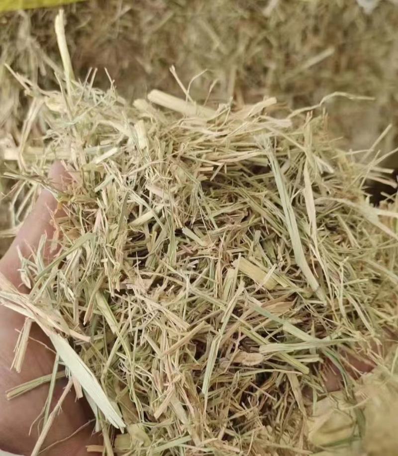 牛羊草料干度好，无霉变，