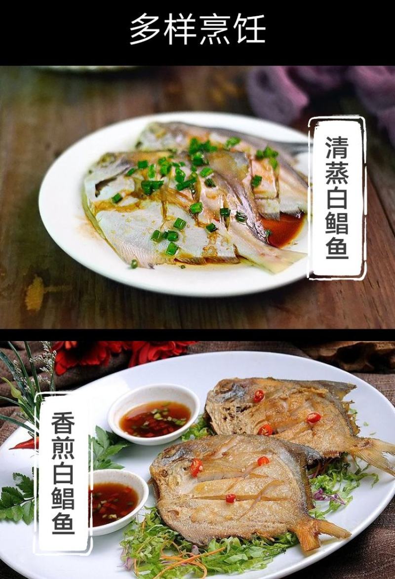 东海白鲳鱼银鲳鱼实力厂家一手货源大型批发商采购更优惠