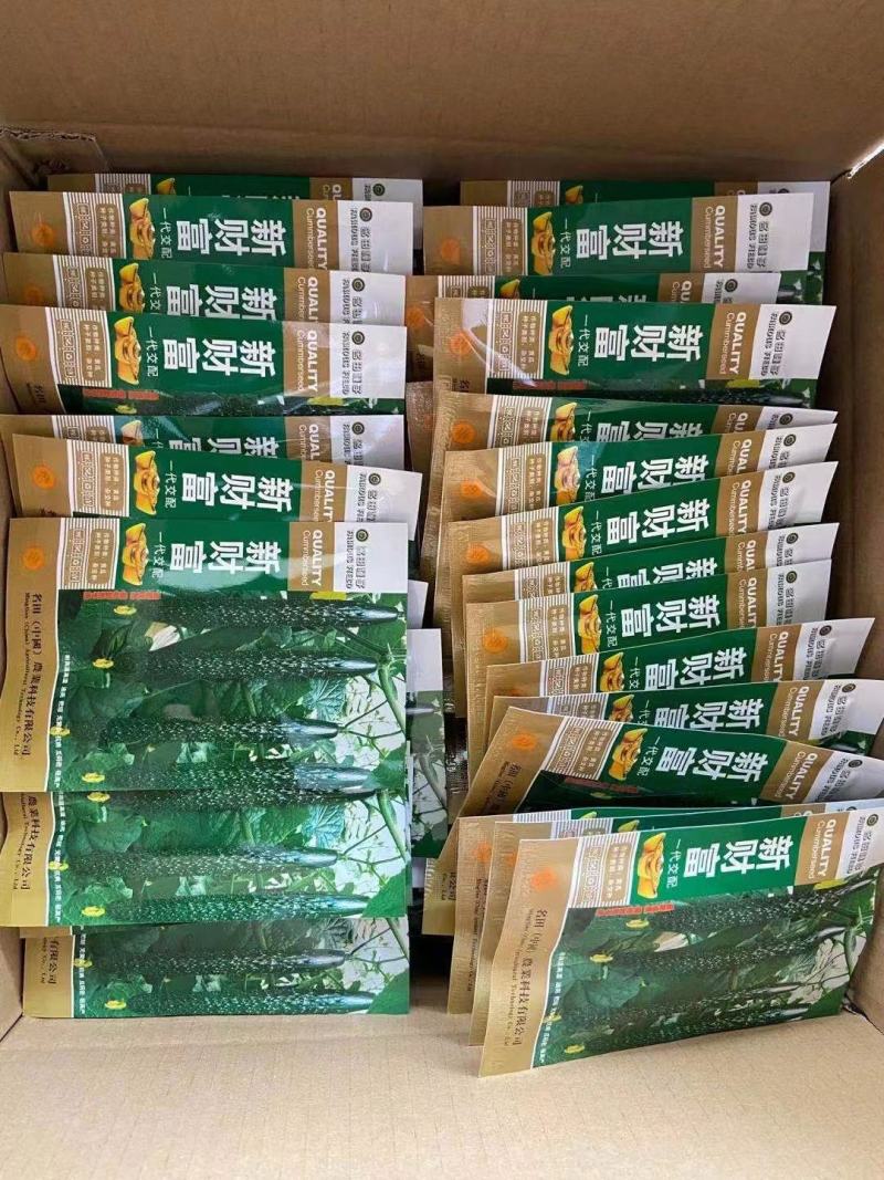 新财富黄瓜种子早熟性好不起棱无黄头抗病性强商品性强