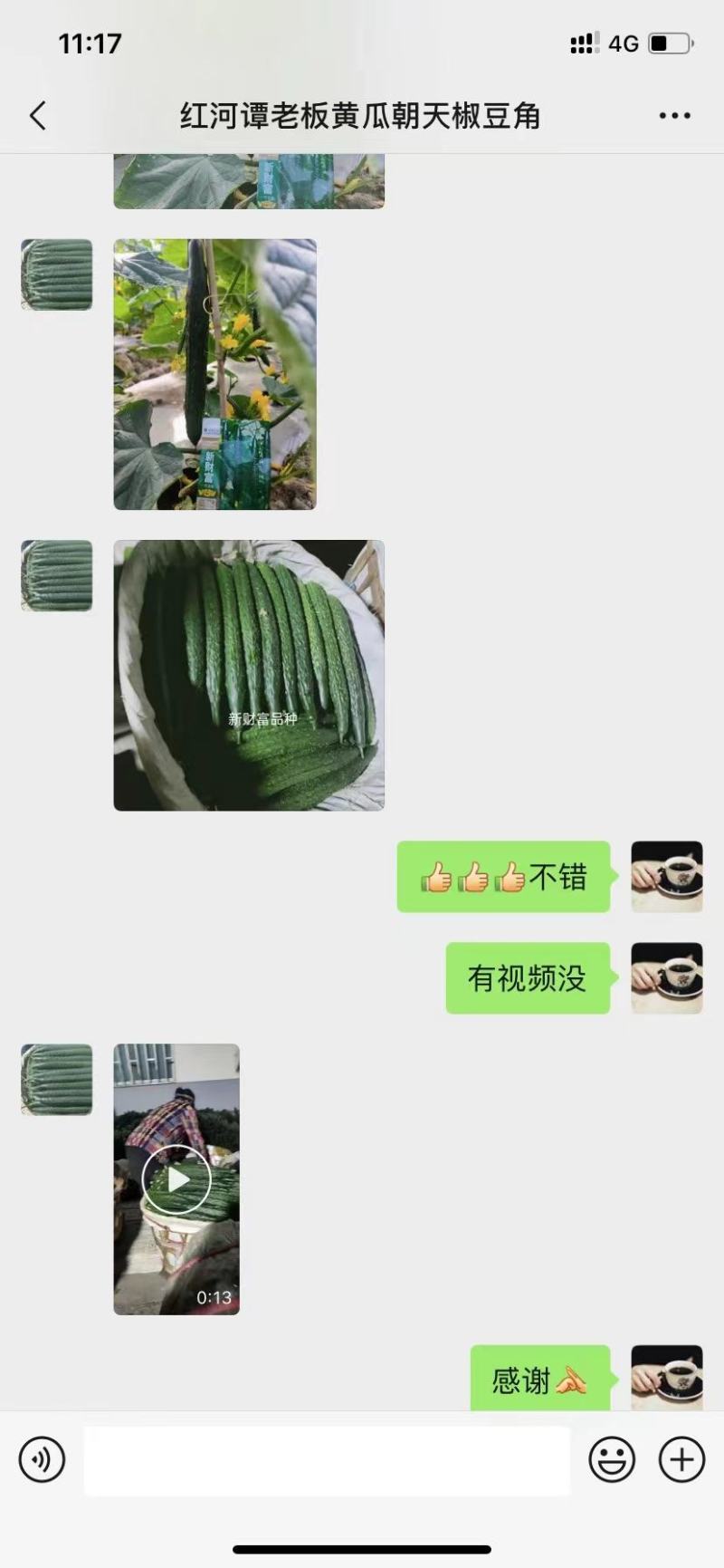 新财富黄瓜种子早熟性好不起棱无黄头抗病性强商品性强