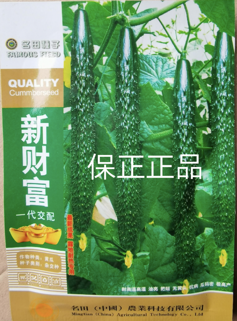 新财富黄瓜种子早熟性好不起棱无黄头抗病性强商品性强