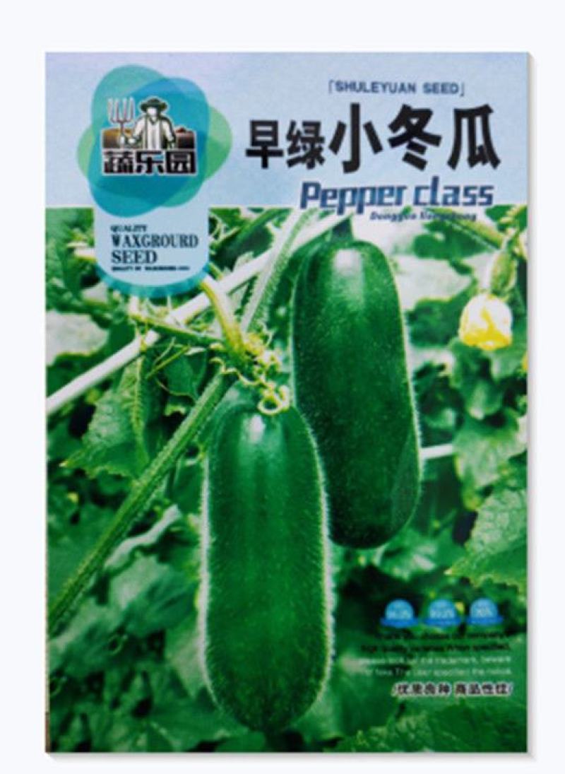 早绿小冬瓜种子嫩绿小冬瓜小节瓜四季种高产冬瓜