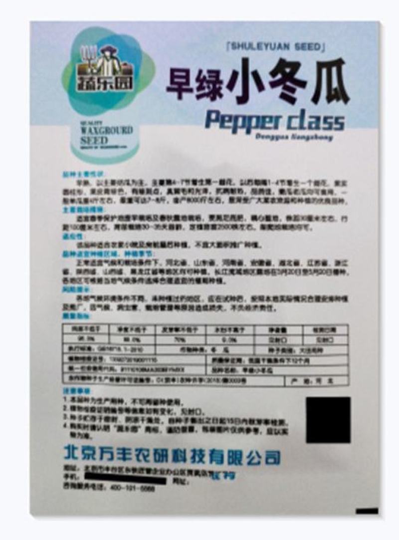 早绿小冬瓜种子嫩绿小冬瓜小节瓜四季种高产冬瓜