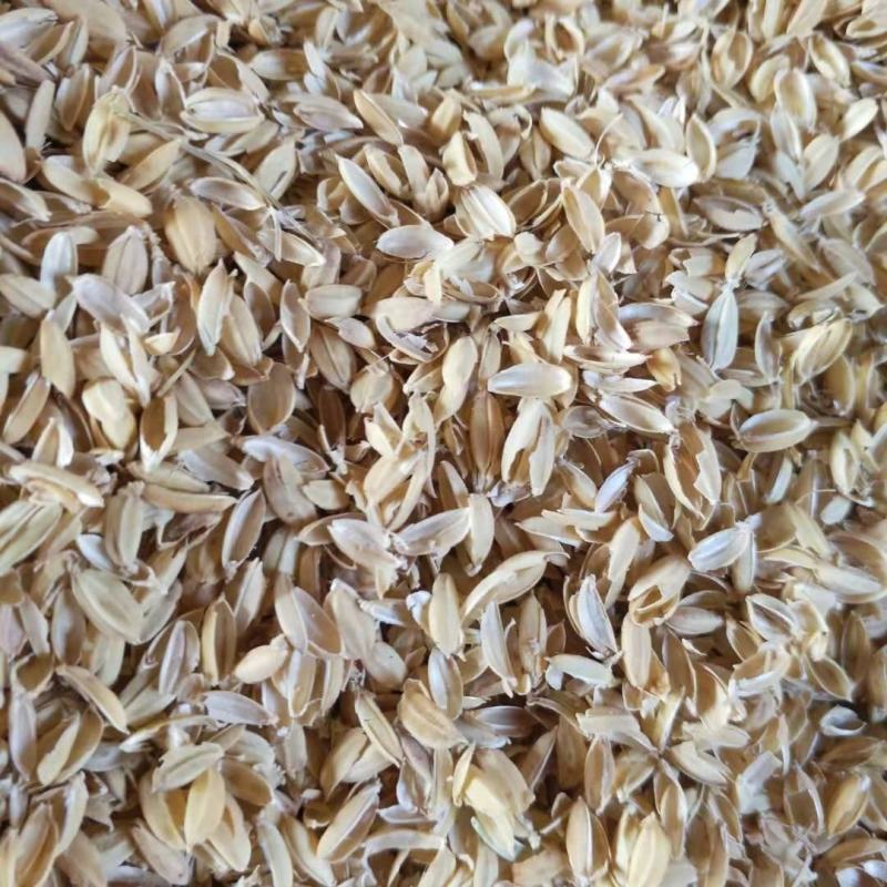 厂家供应压缩壳散装稻壳养殖垫料酿酒制醋土地改良