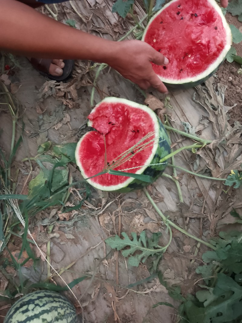 甜王京欣