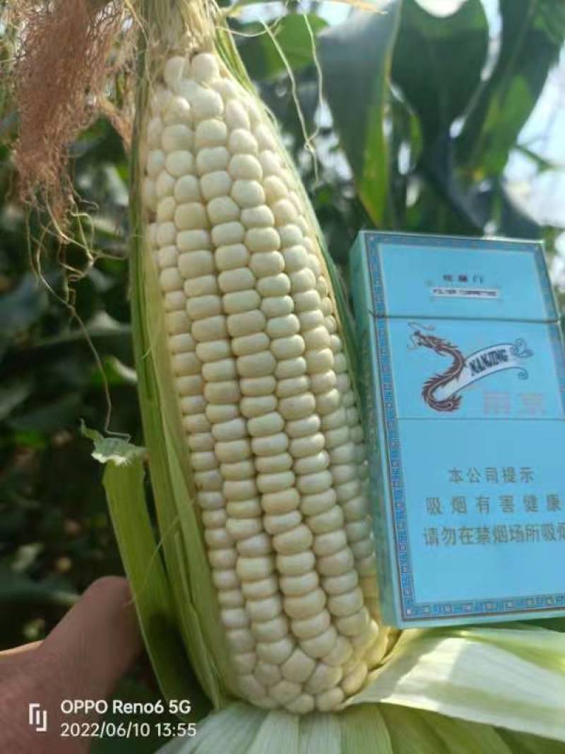 质量好，价格低