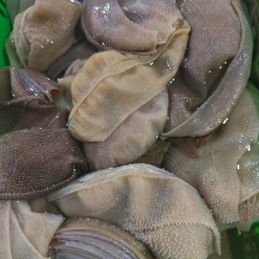 四川成都黄牛大叶片厂家直销，一手货源，中高档毛肚