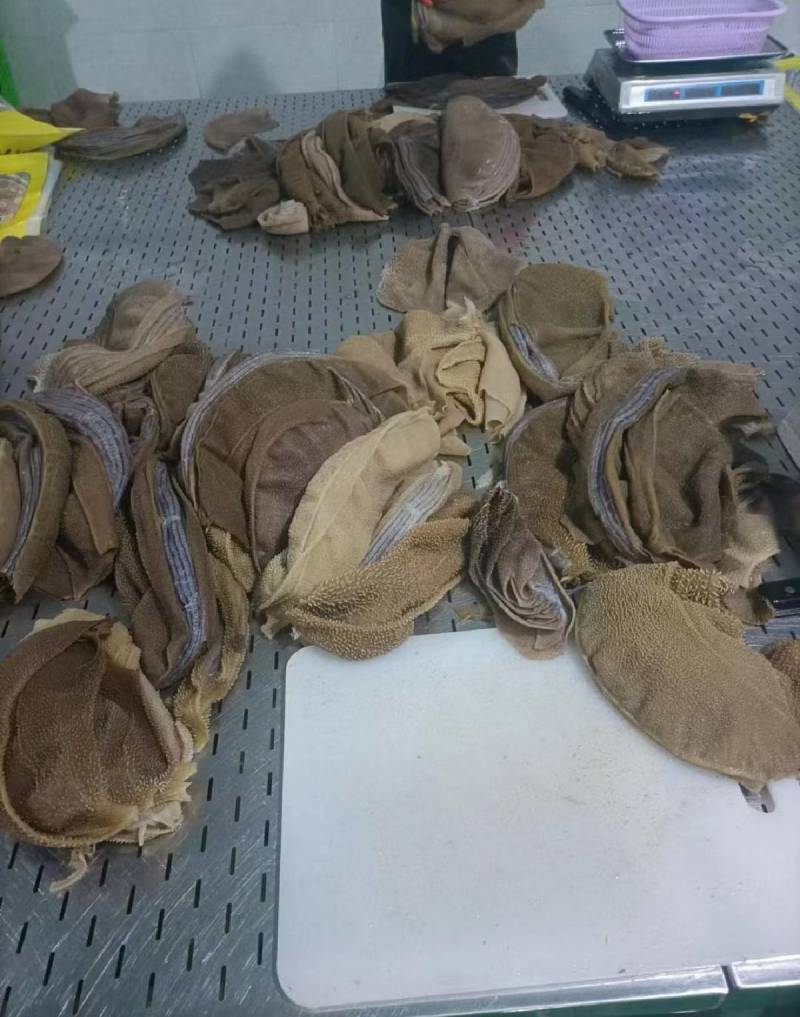 四川成都黄牛大叶片厂家直销，一手货源，中高档毛肚