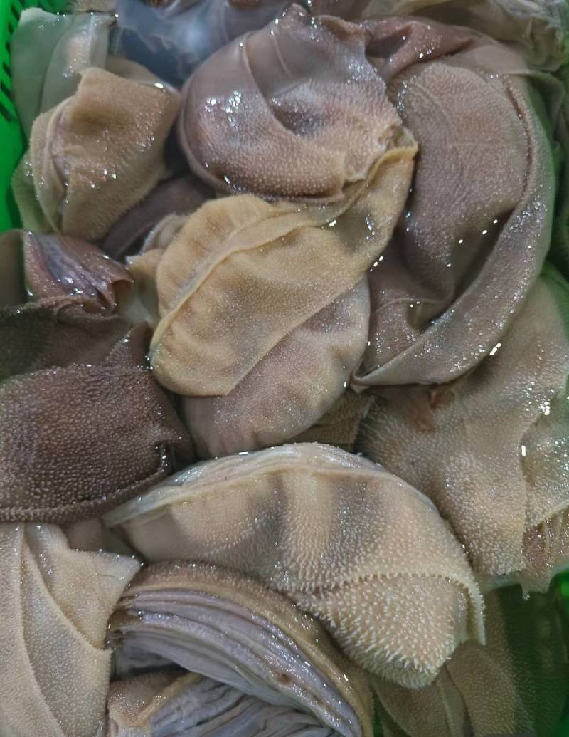 四川成都黄牛大叶片厂家直销，一手货源，中高档毛肚