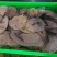 四川成都黄牛大叶片厂家直销，一手货源，中高档毛肚
