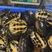 南方石龟全规格有货乌龟养殖基地直发省内包邮