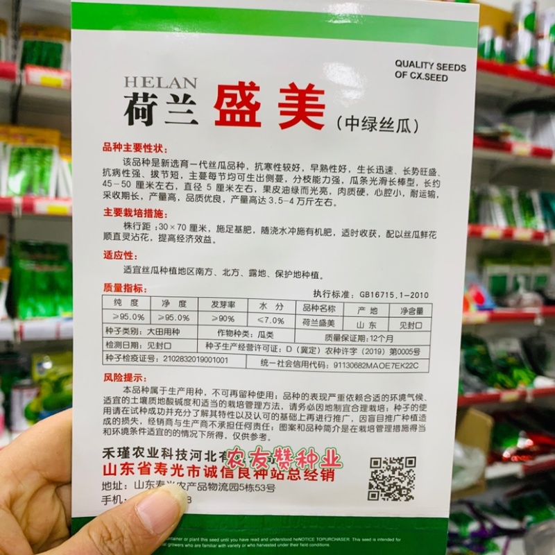 荷兰盛美丝瓜种子油绿光亮长棒型丝瓜种子中绿丝瓜长丝瓜种子