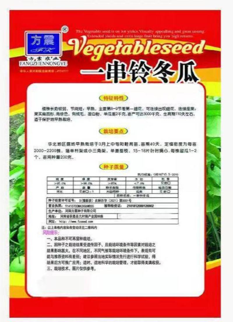 一串铃小冬瓜种子四季白皮高产小冬瓜籽庭院阳台盆栽大田蔬菜