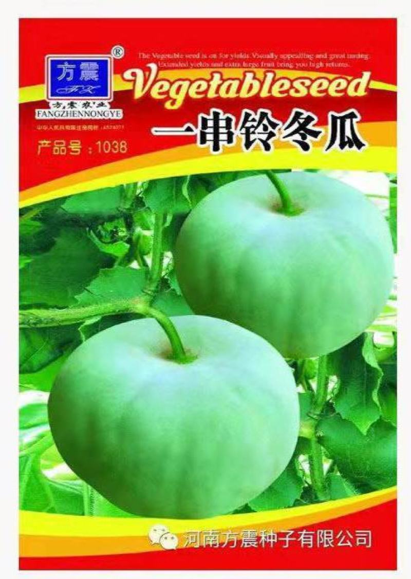 一串铃小冬瓜种子四季白皮高产小冬瓜籽庭院阳台盆栽大田蔬菜