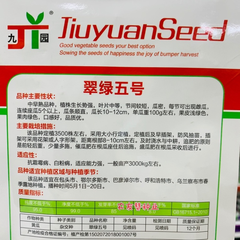水果黄瓜种子口感好荷兰水果黄瓜特抗病长势强节节有瓜