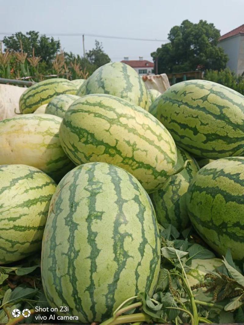 水果蔬菜