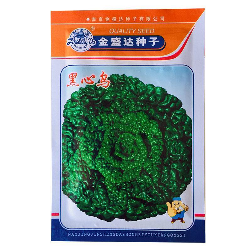 乌塌菜种子高钙保健蔬菜养心菜黑白菜种子四季播种农家绿色蔬