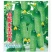 新品四季播种水果黄瓜节节瓜高产小黄瓜地载阳台盆栽菜籽农家