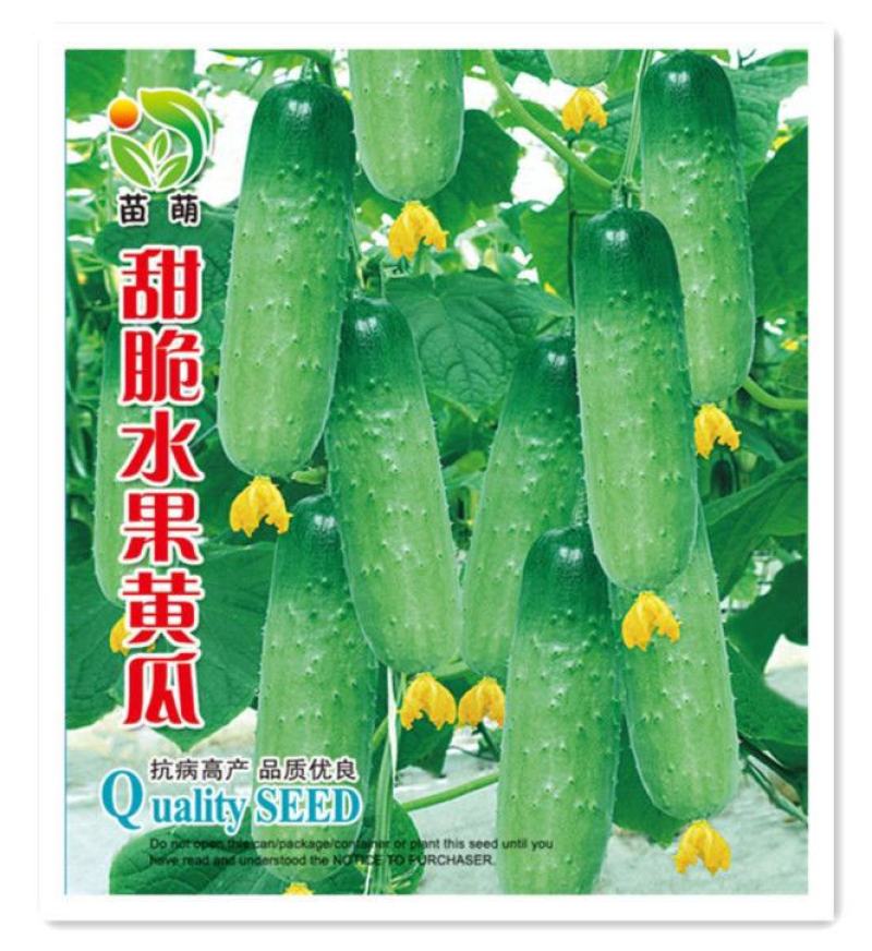 新品四季播种水果黄瓜节节瓜高产小黄瓜地载阳台盆栽菜籽农家