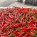 小米辣，新鲜，小米辣基地现摘现发