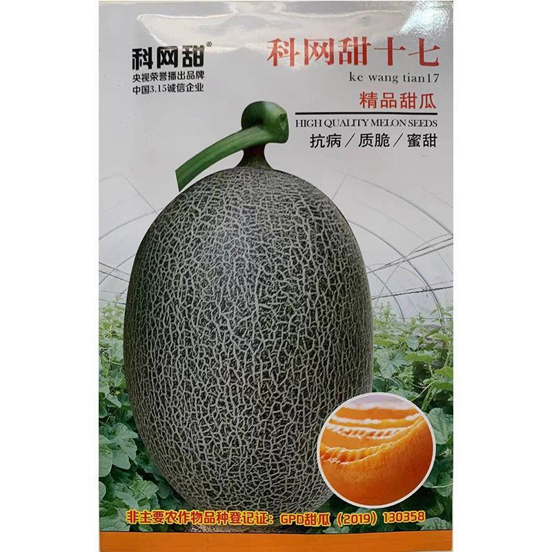 网纹哈密瓜种子南北方四季播水果哈蜜瓜甜瓜香西瓜阳台蔬菜种