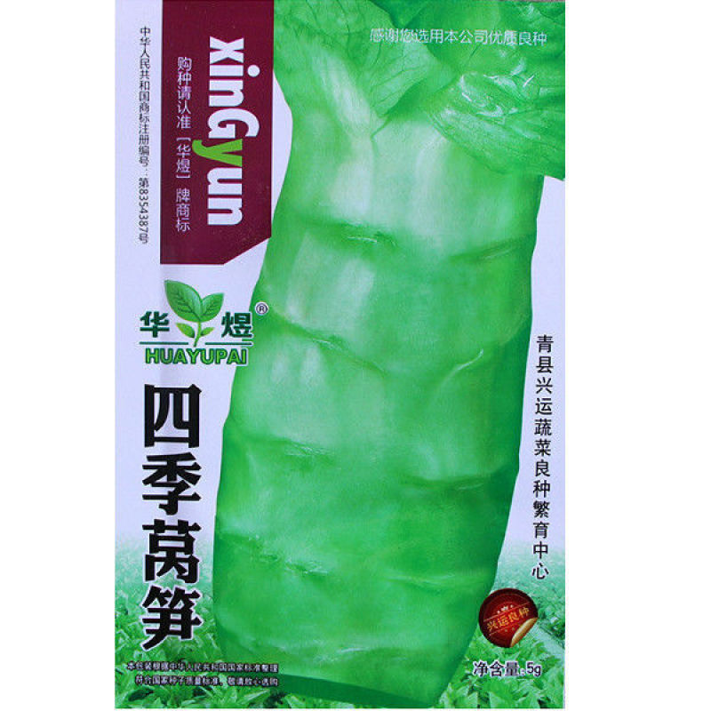 四季莴笋种子青皮绿肉香莴笋种子高产耐热耐寒春秋冬播种