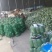 水果冬瓜支持视频看货诚信经营