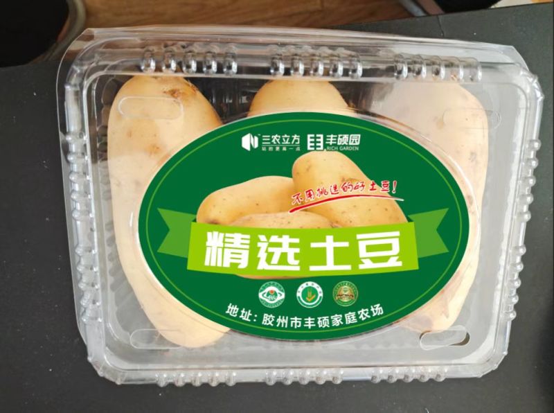 土豆马铃薯面积800余亩胶州市丰硕家庭农场自产直销