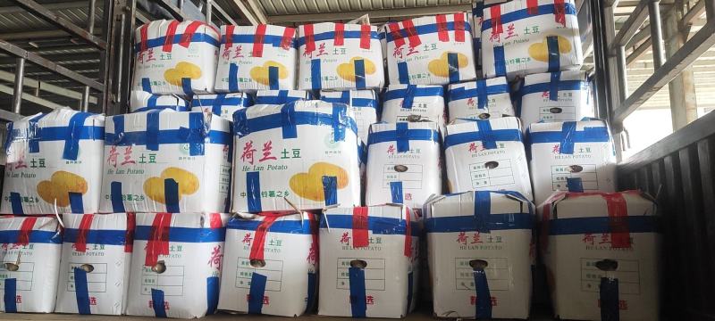 秦皇岛昌黎土豆大量上市价格0.3到0.7有需要联系
