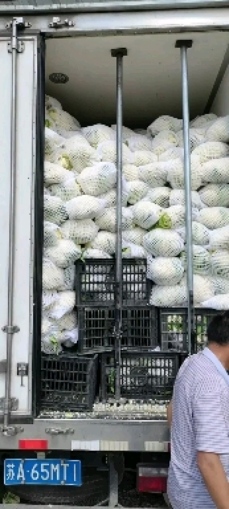 精品散花松花菜产地直销质量保证量大从优合作共赢
