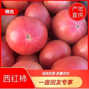 【推荐】围场原产地直供货源充足欢迎咨询合作