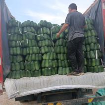 水果冬瓜……大量供应重量2斤到4斤左右，适合大型超市