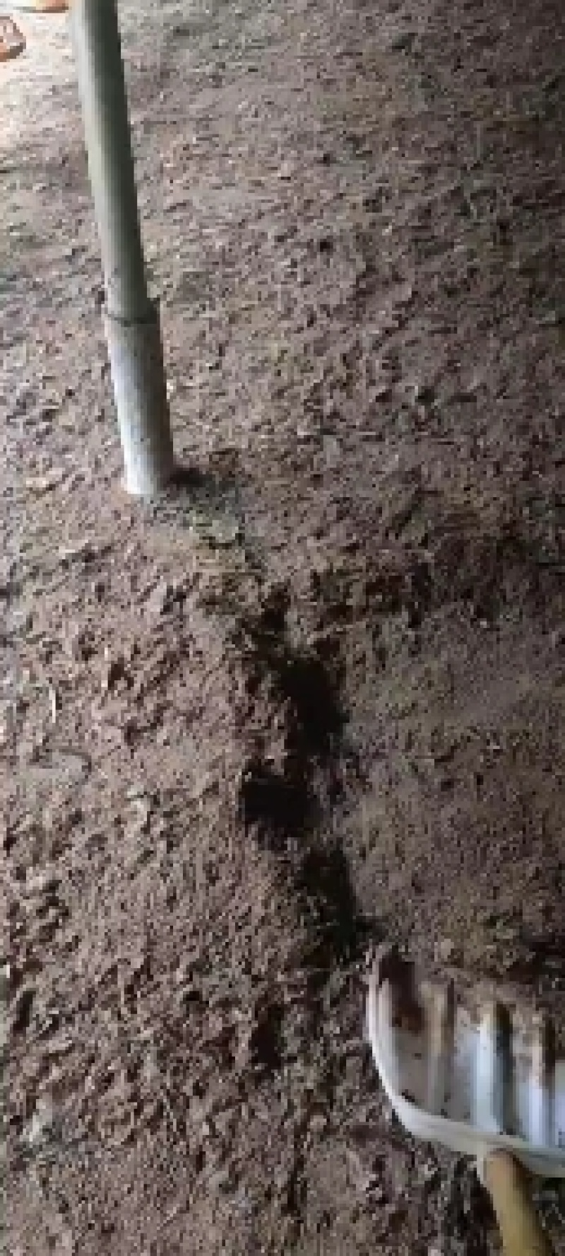鸡粪长期有货出售，基地直供诚信经营有需要的电话联系