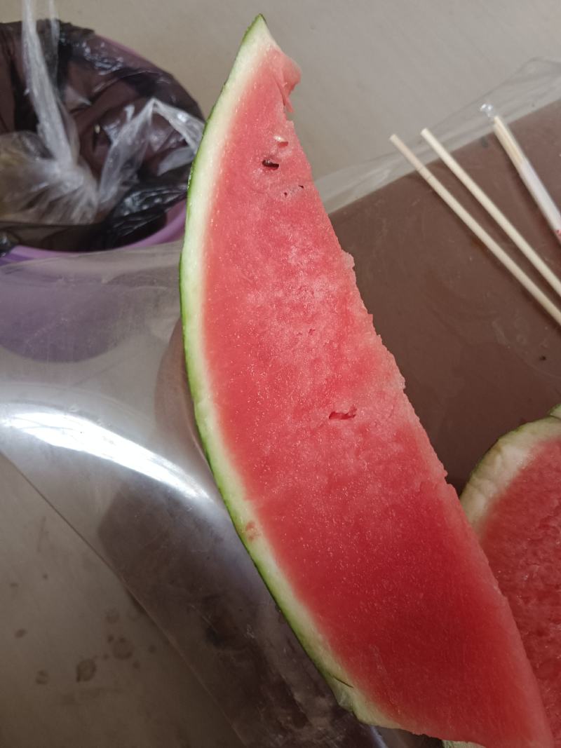 狼山沙窝西瓜