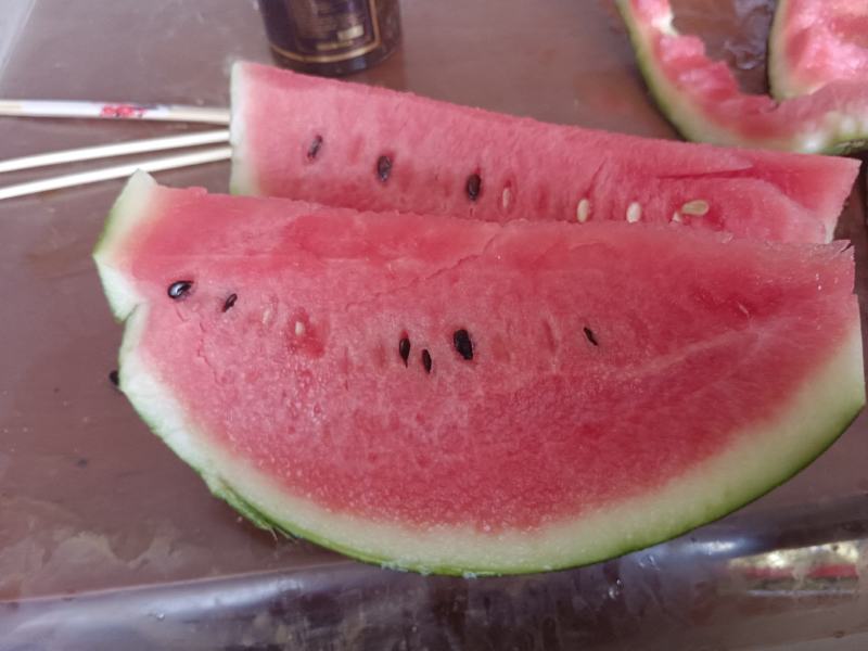 狼山沙窝西瓜