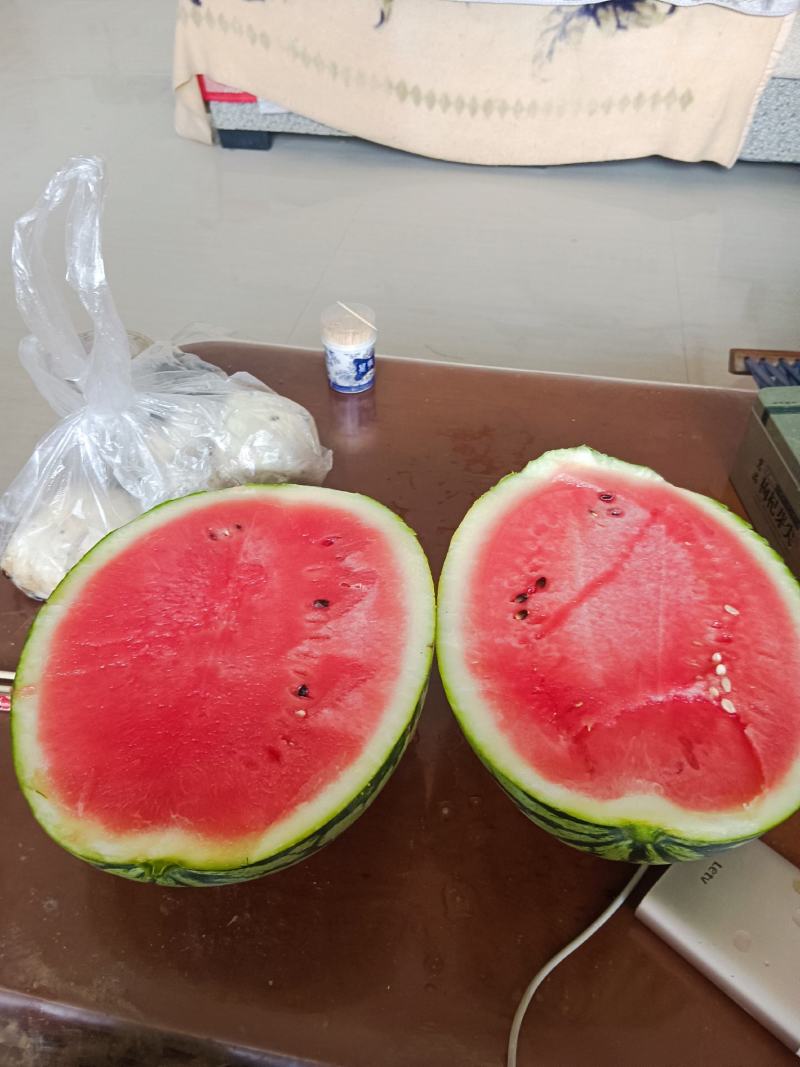 狼山沙窝西瓜
