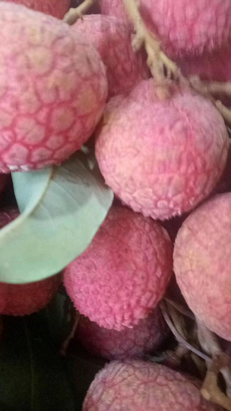 荔枝