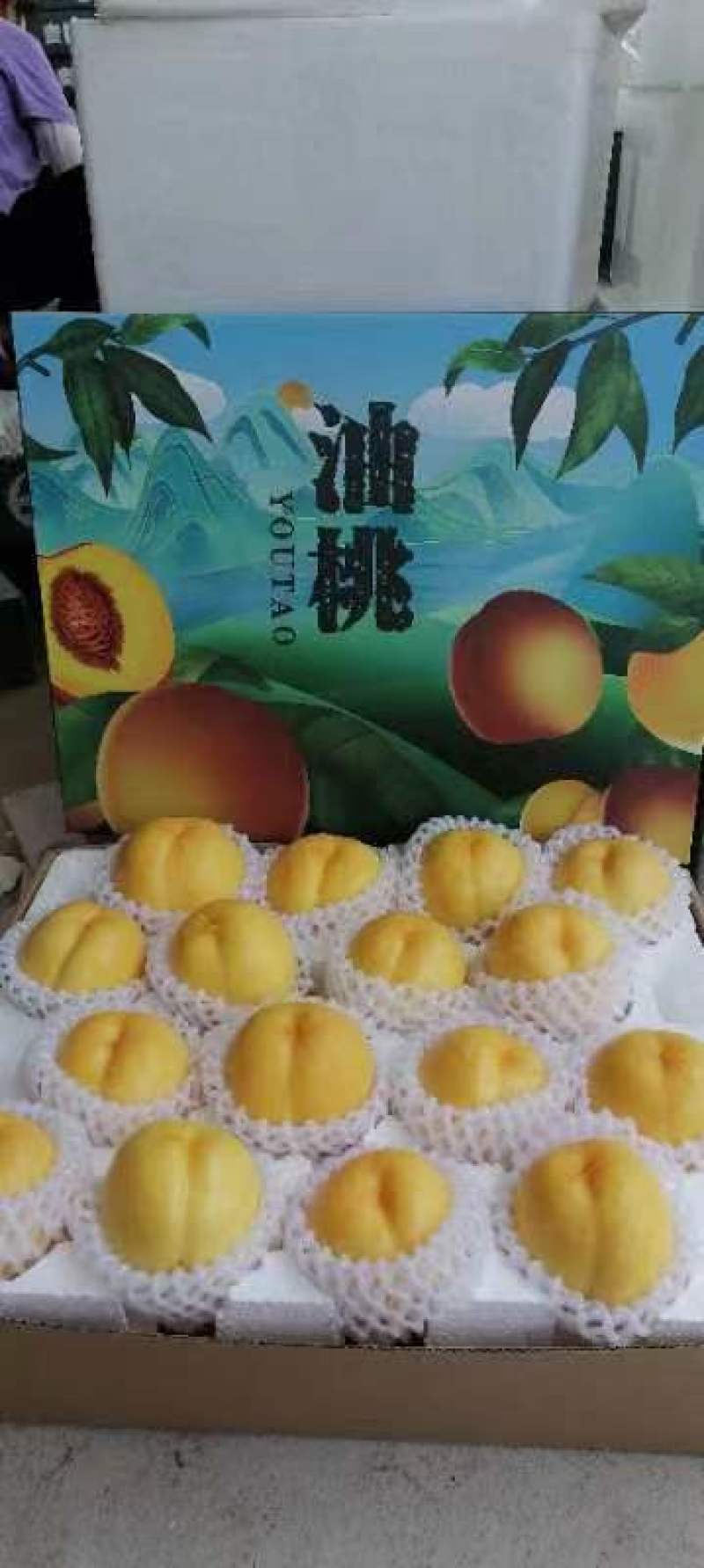 中油油桃大量上市，支持一件代发，全国各地支持物流整车发货